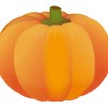 冬至にかぼちゃを食べる理由とは？２０１４年はいつなの？
